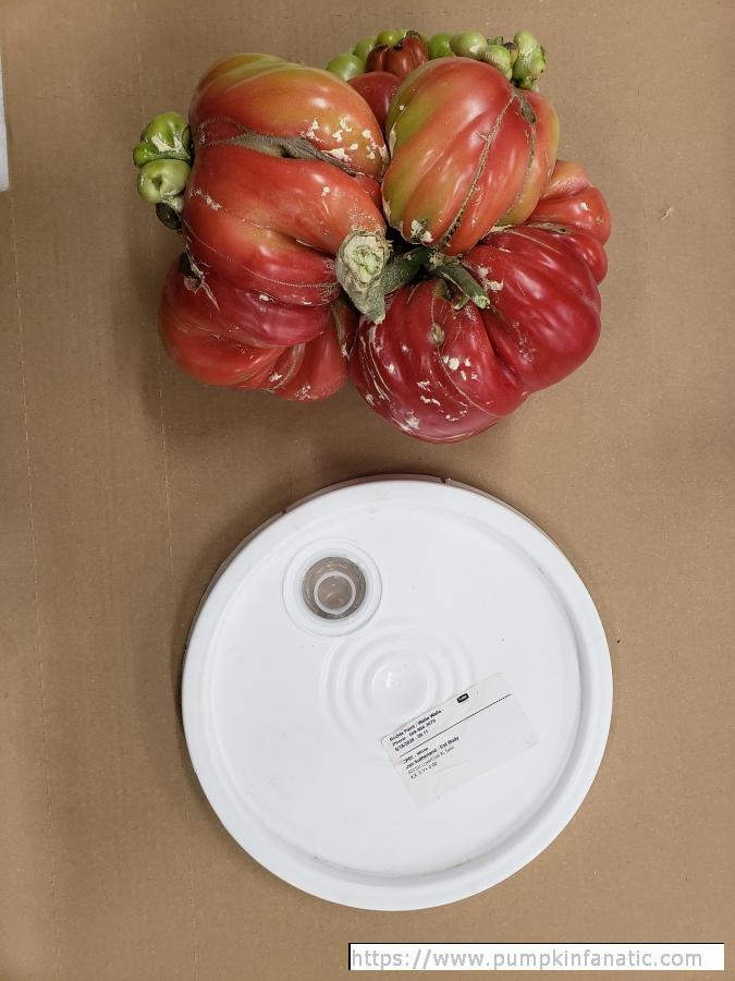 10.8 Sutherland 2020